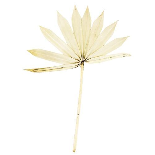 Sunspear (25 Stück)